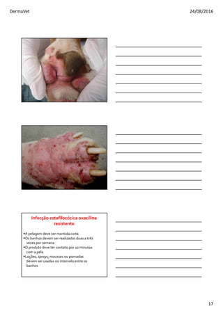 DermaVet 24/08/2016
17
A pelagem deve ser mantida curta
Os banhos devem ser realizados duas a três
vezes por semana
O produto deve ter contato por 10 minutos
com a pela
Loções, sprays, mousses ou pomadas
devem ser usadas no intervalo entre os
banhos
Infecção estafilocócica oxacilina
resistente
 