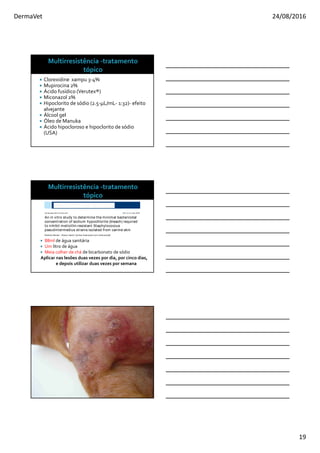 DermaVet 24/08/2016
19
Clorexidine xampu 3-4%
Mupirocina 2%
Ácido fusídico (Verutex®)
Miconazol 2%
Hipoclorito de sódio (2.5-µL/mL- 1:32)- efeito
alvejante
Álcool gel
Óleo de Manuka
Ácido hipocloroso e hipoclorito de sódio
(USA)
88ml de água sanitária
Um litro de água
Meia colher de chá de bicarbonato de sódio
Aplicar nas lesões duas vezes por dia, por cinco dias,
e depois utilizar duas vezes por semana
An in vitro study to determine the minimal bactericidal
concentration of sodium hypochlorite (bleach) required
to inhibit meticillin-resistant Staphylococcus
pseudintermedius strains isolated from canine skin
Marlene Pariser* , Sharon Gard†, Dunbar Gram ‡ and Lynn Schmeitzel§
Vet Dermatol 2013; 24: 632–e157 DOI: 10.1111/vde.12079
 
