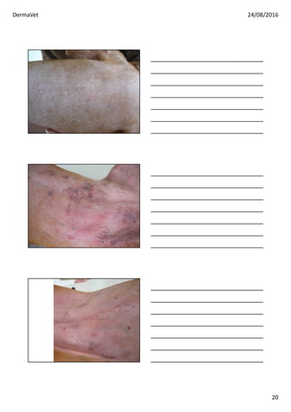 DermaVet 24/08/2016
20
 