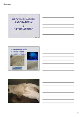 Dermavet
3
RECONHECIMENTO
LABORATORIAL
E
DIFERENCIAÇÃO
Ferreira, R.R.
1 - LÂMPADA DE WOOD
2 – EXAME DIRETO
3 – CULTIVO FÚNGICO
Ferreira, R.R.
Ferreira,
R.R.
Ferreira, R.R.
 