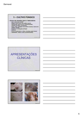 Dermavet
6
• Envio da amostra para o laboratório
– Usar Luvas para coleta!
– Região limpa (lavar com sabão neutro)
– Desinfecção álcool 70 GL (contaminantes)
– Colheita de pêlos: (tricotomia)
– Pinça; mão; raspagem com lâmina (suave); escova de
dentes; carpete.
– Positivos na Lâmpada de Wood
– Periferia
– Envio ao laboratório: vidros, envelope papel (seco)
– Viabilidade: meses a anos (contaminantes)
Ferreira, R.R.
3 – CULTIVO FÚNGICO
APRESENTAÇÕES
CLÍNICAS
Ferreira, R.R.
Ferreira, R.R.
 