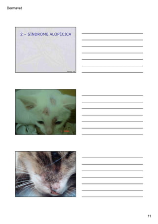 Dermavet
11
2 – SÍNDROME ALOPÉCICA
Ferreira, R.R.
Ferreira, R.R.
Ferreira, R.R.
 