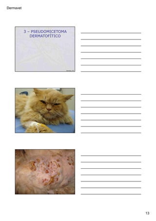 Dermavet
13
3 – PSEUDOMICETOMA
DERMATOFÍTICO
Ferreira, R.R.
Ferreira, R.R.
Ferreira, R.R.
 
