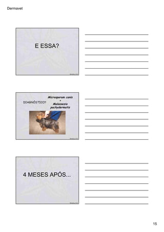 Dermavet
15
E ESSA?
Ferreira, R.R.
DIAGNÓSTICO?
Microsporum canis
+
Malassezia
pachydermatis
Ferreira, R.R.
4 MESES APÓS...
Ferreira, R.R.
 