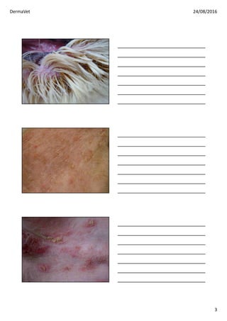 DermaVet 24/08/2016
3
 