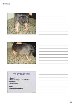 Dermavet
18
Ferreira, R.R.
Ferreira, R.R.
TRATAMENTO
• Causa?
• Contaminação secundária?
• Tópico?
• Sistêmico?
• Tosa
• Remoção de pelos
Ferreira, R.R.
 