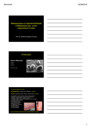 DermaVet 24/08/2016
1
Malasseziose ou hipersensibilidade
à Malassezia spp.: como
diagnosticar e tratar
Prof. Dr. Rafael Rodrigues Ferreira
Gênero Malassezia
Levedura:
Lipofílica
Unicelular
Dufait, 1983 - cães
ETIOLOGIA
14 espécies de Malassezia conhecidas:
M. pachydermatis: (maioria dos vertebrados – caninos)
M. furfur: (humanos, felinos, bovinos, cabras, equinos, caninos)
M. sympodialis: (humanos, felinos, bovinos; ovelhas, cabras)
M. globosa : (humanos; gatos, bovinos, ovinos saudáveis)
M. obtusa: (humanos, bovinos, cabras, equinos)
M. sloofiae: (equinos, suínos, ovinos, caprinos, bovinos, humanos)
M. restricta (ovelhas, equinos)
M. dermatis (humanos)
M. nana (felinos, bovinos)
M japonica (humanos)
M. yamatoensis: (humanos)
M. caprae (caprinos)
M. equina (equinos)
M. cuniculi (coelhos)
Maioria associada à disqueratoses, dermatite atópica e otopatias
 