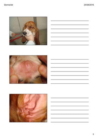 DermaVet 24/08/2016
3
Ferreira, R.R.
Ferreira, R.R.
Ferreira, R.R.
 