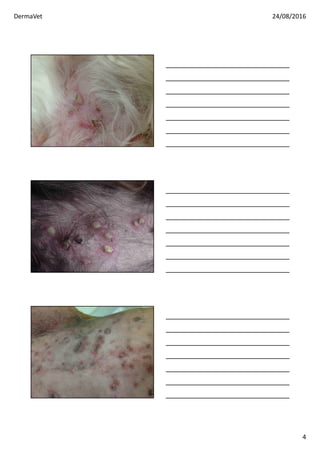 DermaVet 24/08/2016
4
 