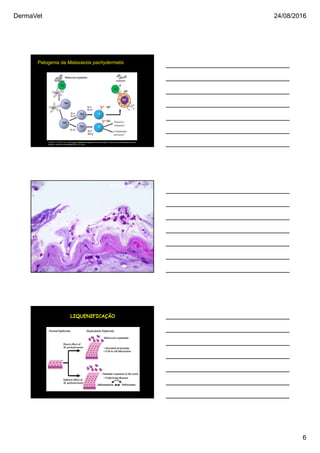 DermaVet 24/08/2016
6
Patogenia da Malassezia pachydermatis
TCHEN, T. & HILL, P.B. The biology of Malassezia organisms and their ability to induce immune responses and skin
disease. Veterinary Dermatology 2005, 16, 4–26
.
Prof. Marconi Farias
LIQUENIFICAÇÃO
 