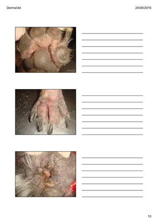 DermaVet 24/08/2016
10
Ferreira, R.R.
Ferreira, R.R.
Ferreira, R.R.
 