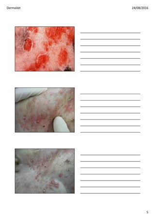 DermaVet 24/08/2016
5
 