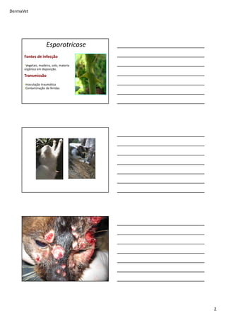DermaVet
2
Fontes de infecção
• Vegetais, madeira, solo, materia
orgânica em deposição.
Transmissão
•Inoculação traumática
•Contaminação de feridas
Esporotricose
 