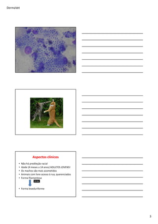 DermaVet
3
Aspectos clínicos
• Não há predileção racial
• Idade (4 meses a 14 anos) ADULTOS JOVENS!
• Os machos são mais acometidos
• Animais com livre acesso à rua, querenciados
• Forma filamentosa
• Forma leveduriforme
30 dias
 