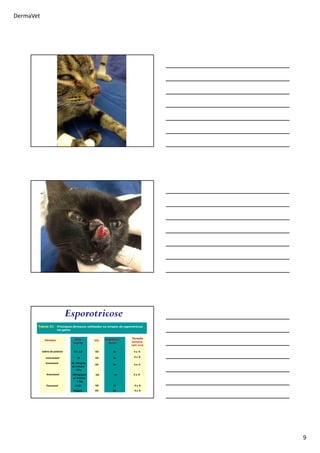 DermaVet
9
Esporotricose
Tabela 01. Principais fármacos utilizados na terapia da esporotricose
em gatos.
Fármaco Dose
(mg/Kg)
Via Freqüência
(horas)
Duração
(semanas
após cura)
Itraconazol
Fluconazol VO
VO 24
1210-15
10 4 a 8
4 a 8
10- 20mg/kg
p/ animais
<3kg
VO 24 4 a 8
Cetoconazol
50/gato VO 24 4 a 8
Iodeto de potássio VO2,5- 5,0 24 4 a 8
Itraconazol 100mg/gato
p/ animais
> 3kg
VO 24 4 a 8
 