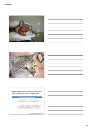 DermaVet
11
• Apesar do itraconazol ser o fármaco de escolha, alguns
casos não apresentam resposta clínica satisfatória.
(Moraes et al., 1994, Bustamantee Campos 2004, Jiang et al. 2009)
Casos não responsivos ao itraconazol
Iodeto de potássio é uma opção terapêutica em
pacientes humanos não responsivos ao itraconazol
Associação de iodeto de potássio aos azólicos na
esporotricose humana e felina pode apresentar
melhores resultados comparados com a monoterapia
 