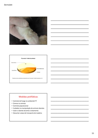 DermaVet
15
Medidas profiláticas
• Controle do fungo no ambiente???
• Cremar os animais
• Controle populacional
• Cuidados na manipulação de animais doentes
• Isolar o doente durante o tratamento
• Descartar caixas de transporte de madeira
 