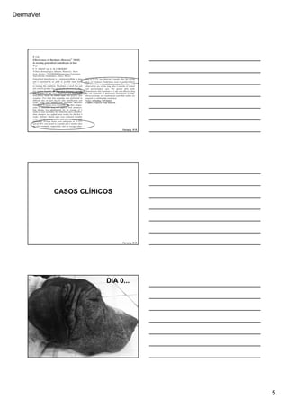 DermaVet
5
Ferreira, R.R.
CASOS CLÍNICOS
Ferreira, R.R.
Ferreira, R.R.
DIA 0...
 