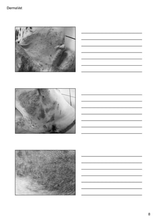 DermaVet
8
Ferreira, R.R.
Ferreira, R.R.
Ferreira, R.R.
 