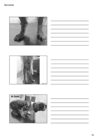 DermaVet
12
Ferreira, R.R.
Ferreira, R.R.
Ferreira, R.R.
30 DIAS....
 