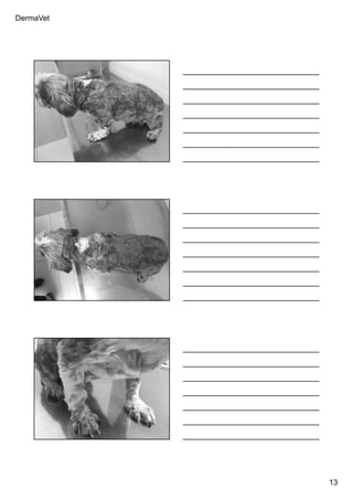 DermaVet
13
Ferreira, R.R.
Ferreira, R.R.
Ferreira, R.R.
 