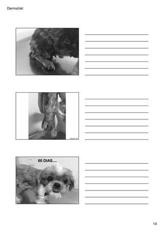 DermaVet
14
Ferreira, R.R.
Ferreira, R.R.
Ferreira, R.R.
60 DIAS....
 