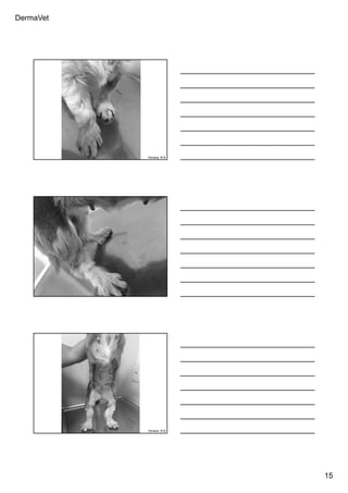 DermaVet
15
Ferreira, R.R.
Ferreira, R.R.
Ferreira, R.R.
 