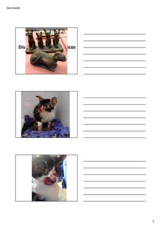 DermaVet
1
Discussão de casos clínicos
 