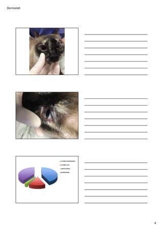 DermaVet
4
CUTÂNEA DISSEMINADA
CUTÂNEA FIXA
LINFOCUTÂNEA
RESPIRATÓRIO
 