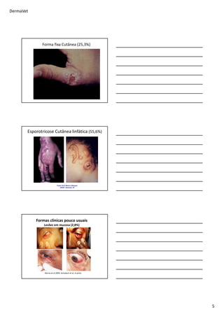 DermaVet
5
Forma fixa Cutânea (25,3%)
Fonte: Prof. Sílvio A. Marques
UNESP- Botucatu- SP
Esporotricose Cutânea linfática (55,6%)
Formas clínicas pouco usuais
Lesões em mucosa (2,8%)
Barros et al 2004; Schubach et al, in press.
 