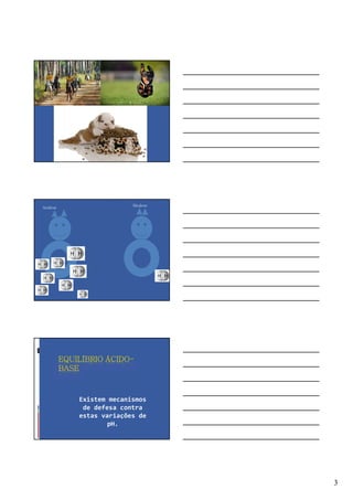 3
Acidose Alcalose
EQUILÍBRIO ÁCIDO-
BASE
Existem mecanismos
de defesa contra
estas variações de
pH.
 