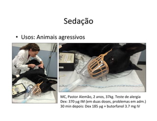Sedação	
  
•  Usos:	
  Animais	
  agressivos	
  
MC,	
  Pastor	
  Alemão,	
  2	
  anos,	
  37kg.	
  Teste	
  de	
  alergia	
  
Dex:	
  370	
  µg	
  IM	
  (em	
  duas	
  doses,	
  problemas	
  em	
  adm.)	
  
30	
  min	
  depois:	
  Dex	
  185	
  µg	
  +	
  butorfanol	
  3.7	
  mg	
  IV	
  
 