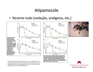 A>pamezole	
  
•  Reverte	
  tudo	
  (sedação,	
  analgesia,	
  etc.)	
  
Granholm	
  M,	
  McKusick	
  BC,	
  Westerholm	
  FC,	
  et	
  al.	
  Evalua>on	
  of	
  the	
  
clinical	
  eﬃcacy	
  and	
  safety	
  of	
  intramuscular	
  and	
  intravenous	
  doses	
  of	
  
dexmedetomidine	
  and	
  medetomidine	
  in	
  dogs	
  and	
  their	
  reversal	
  with	
  
a>pamezole.	
  Vet	
  Rec.	
  2007;160(26):891-­‐7.	
  
 