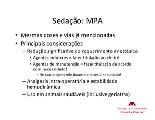 Sedação:	
  MPA	
  
•  Mesmas	
  doses	
  e	
  vias	
  já	
  mencionadas	
  
•  Principais	
  considerações	
  
– Redução	
  signiﬁca>va	
  do	
  requerimento	
  anestésico	
  
•  Agentes	
  indutores	
  =	
  fazer	
  >tulação	
  ao	
  efeito!	
  
•  Agentes	
  de	
  manutenção	
  =	
  fazer	
  >tulação	
  de	
  acordo	
  
com	
  necessidade!	
  
–  Se	
  usar	
  a>pamezole	
  durante	
  anestesia	
  =>	
  cuidado!	
  
– Analgesia	
  intra-­‐operatória	
  e	
  estabilidade	
  
hemodinâmica	
  
– Uso	
  em	
  animais	
  saudáveis	
  (inclusive	
  geriatras)	
  
 