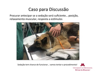Caso	
  para	
  Discussão	
  
Procurar	
  antecipar	
  se	
  a	
  sedação	
  será	
  suﬁciente…	
  posição,	
  
relaxamento	
  muscular,	
  resposta	
  a	
  es•mulos	
  
Sedação	
  tem	
  chance	
  de	
  funcionar…	
  vamos	
  tentar	
  o	
  procedimento!	
  	
  
 