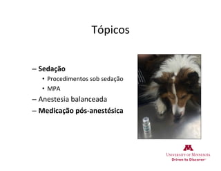 Tópicos	
  
– Sedação	
  	
  
•  Procedimentos	
  sob	
  sedação	
  
•  MPA	
  
– Anestesia	
  balanceada	
  
– Medicação	
  pós-­‐anestésica	
  
 