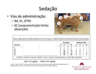 Sedação	
  
•  Vias	
  de	
  administração:	
  
– IM,	
  IV,	
  OTM	
  
– SC	
  (vasoconstrição	
  limita	
  
absorção)	
  
S
LG C
Carter	
  JE,	
  Lewis	
  C,	
  Beths	
  T.	
  Onset	
  and	
  quality	
  of	
  seda>on	
  aWer	
  intramuscular	
  administra>on	
  of	
  dexmedetomidine	
  and	
  
hydromorphone	
  in	
  various	
  muscle	
  groups	
  in	
  dogs.	
  J	
  Am	
  Vet	
  Med	
  Assoc.	
  2013;243(11):1569-­‐72.	
  
Dex:	
  3.5	
  µg/kg	
   Hidro:	
  0.1	
  mg/kg	
  
 