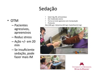 Sedação	
  
•  OTM	
  
– Pacientes	
  
agressivos,	
  
apreensivos	
  
– Reduz	
  stress	
  
– Ação	
  +/-­‐	
  em	
  20	
  
min	
  
– Se	
  insuﬁciente	
  
sedação,	
  pode	
  
fazer	
  mais	
  IM	
  
•  Gato	
  5	
  kg,	
  RX,	
  artrocentese	
  	
  
•  Dor	
  moderada-­‐severa	
  
•  Torna-­‐se	
  muito	
  agressivo	
  com	
  manipulação	
  
•  Protocolo:	
  
Dex	
  (100	
  µg)	
  +	
  Ketamina	
  (20	
  mg)	
  +	
  butorfanol	
  (2	
  mg)	
  
 