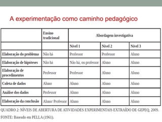 A experimentação como caminho pedagógico
 