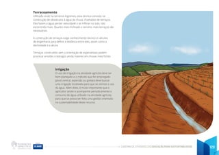 CADERNO DE ATIVIDADES DE EDUCAÇÃO PARA SUSTENTABILIDADE 129
Terraceamento
Utilizado onde há terrenos íngremes, essa técnica consiste na
construção de obstáculos à água da chuva, chamados de terraços.
Eles fazem a água perder velocidade e se infiltrar no solo, não
escorrendo mais. Quanto mais inclinado o terreno, mais terraços são
necessários.
A construção de terraços exige conhecimento técnico e cálculos
de engenharia para definir a distância entre eles, assim como a
declividade e a altura.
Terraços construídos sem a orientação de especialistas podem
provocar erosões e estragos ainda maiores em chuvas mais fortes.
Irrigação
O uso de irrigação na atividade agrícola deve ser
bem planejado e o método que for empregado
(pivot central, aspersão ou gotejo) deve buscar
uma irrigação localizada para que se otimize o uso
da água. Além disto, é muito importante que o
agricultor anote e acompanhe periodicamente o
consumo de água utilizado na atividade agrícola,
para que se possa ser feita uma gestão orientada
na sustentabilidade deste recurso.
 