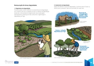 CADERNO DE ATIVIDADES DE EDUCAÇÃO PARA SUSTENTABILIDADE 138
Restauração de áreas degradadas
1. Diagnóstico da degradação
É preciso avaliar a área e detectar as características da degradação,
ver o histórico de uso e ocupação do solo e os fatores de degradação
existentes, como pisoteio da regeneracão natural pelo gado,
desmatamento, presença de mato sufocando a regeneração e
degradação por fogo.
2. Isolamento da degradação
Depois de detectar a causa da degradação, o próximo passo é isolar os
fatores que a causaram. Veja como proceder em cada caso:
Restrição de
acesso do gado
nas APP - Área
de Preservação
Permanente
Aceiros - evitando
degradação por fogo
Coroamento -
controle do mato
no entorno da
regeneração
Fonte: Fundação Espaço ECO Fonte: Fundação Espaço ECO
Fonte: Fundação
Espaço ECO
Fonte: Fundação
Espaço ECO
 
