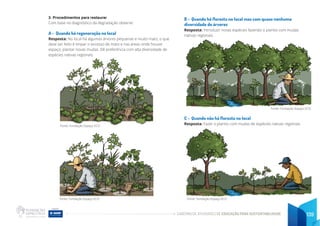 CADERNO DE ATIVIDADES DE EDUCAÇÃO PARA SUSTENTABILIDADE 139
3. Procedimentos para restaurar
Com base no diagnóstico da degradação observe:
A - Quando há regeneração no local
Resposta: No local há algumas árvores pequenas e muito mato, o que
deve ser feito é limpar o excesso de mato e nas áreas onde houver
espaço, plantar novas mudas. Dê preferência com alta diversidade de
espécies nativas regionais.
B - Quando há floresta no local mas com quase nenhuma
diversidade de árvores
Resposta: Introduzir novas espécies fazendo o plantio com mudas
nativas regionais.
C - Quando não há floresta no local
Resposta: Fazer o plantio com mudas de espécies nativas regionais.
Fonte: Fundação Espaço ECO Fonte: Fundação Espaço ECO
Fonte: Fundação Espaço ECO
Fonte: Fundação Espaço ECO
 