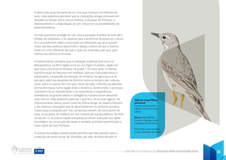CADERNO DE ATIVIDADES DE EDUCAÇÃO PARA SUSTENTABILIDADE 38
A destruição atual faz parte de um ciclo que começou há milhares de
anos. Hoje podemos perceber que as civilizações antigas entraram em
decadência devido, entre outros motivos, à escassez de florestas: o
desmatamento e a degradação do solo reduziram as possibilidades de
desenvolvimento.
Se hoje queremos protegê-las com uma população mundial de mais de 6
bilhões de habitantes, e se sabemos que transformar florestas em cultura
foi o procedimento básico para todas as civilizações que já ocuparam
nosso planeta, estamos assumindo o desejo coletivo de que a história
tome um rumo diferente de tudo o que nos antecedeu até aqui, pelo
menos nos últimos 6 mil anos!
A história oficial considera que a civilização ocidental teve início na
Mesopotâmia, na fértil região entre os rios Tigre e Eufrates, região em
que havia uma enorme floresta, há quase 7 mil anos atrás. A intensa
transformação da Natureza em artefatos cada vez mais elaborados e
sofisticados, a expansão da extração de minérios, da agricultura e da
pecuária, além das questões de domínio sobre as terras e das culturas,
umas sobre as outras, fez com que, nesse período, a floresta exuberante
se transformasse numa região árida e desértica. Desde então, o processo
civilizatório foi se intensificando e se expandindo, e experiências
reveladoras do grande talento e inteligência humana foram deixando
suas marcas. Hoje podemos apreciar o que ficou do mundo egípcio, de
impressionante beleza, assim como da Grécia antiga, do Império Romano
e das diversas civilizações que se desenvolveram no território europeu.
Todas essas civilizações por nós conhecidas tiveram, de certo ponto de
vista, na escassez da madeira um dos motivos de sua decadência. No final
do século 15, as jovens nações europeias já tinham avançado seu saber
tecnológico na construção de navios e também já tinham exterminado a
maior parte de suas florestas.
O avanço tecnológico destes países permitiu que eles saíssem para a
conquista de novas terras, do chamado, por eles, de Novo Mundo. A
Sabiá-do-campo (Mimus
saturninus)
Ocorrem em quase todo
o Brasil, inclusive em área
urbana.
Biomas: Mata Atlântica,
Cerrado e Caatinga e áreas
campestres da Amazônia.
Fonte: https:/
/www.wikiaves.
com.br/wiki/sabia-do-campo
 