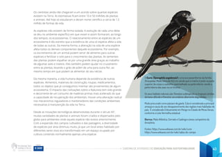 CADERNO DE ATIVIDADES DE EDUCAÇÃO PARA SUSTENTABILIDADE 43
Os cientistas ainda não chegaram a um acordo sobre quantas espécies
existem na Terra. As estimativas ficam entre 10 e 50 milhões de plantas
e animais. Até hoje só estudaram e deram nome científico a cerca de 1,5
milhão de formas de vida.
As espécies não existem de forma isolada. A evolução de cada uma delas
se deu no ambiente específico em que viviam e assim formaram, ao longo
dos tempos, os ecossistemas. O relacionamento entre as espécies de um
ecossistema é tão estreito que a existência de uma só espécie afeta a vida
de todas as outras. Da mesma forma, a alteração na vida de uma espécie
afeta todos os demais componentes daquele ecossistema. Por exemplo,
os excrementos de um animal podem servir de alimento para outras
espécies e fertilizar o solo para o crescimento das plantas. As sementes
das plantas podem espalhar-se por uma grande área graças ao trabalho
de algumas aves e insetos. Eles também podem ajudar no cruzamento
entre as plantas, levando o grão de pólen de uma para outra flor, ao
mesmo tempo em que podem se alimentar do seu néctar.
Da mesma maneira, a vida humana depende da existência de outras
espécies. Alimentos, materiais de construção, roupas, medicamentos,
todos os objetos que já conseguimos inventar são provenientes de algum
ecossistema. O impacto das civilizações sobre a Natureza tem sido grande
e decorrente de um consumo de matérias-primas mais acelerado do que
a capacidade de recuperação dos ambientes. Houve uma alteração radical
nos mecanismos reguladores e mantenedores das condições ambientais
necessárias à manutenção da vida na Terra.
Desde as inovações tecnológicas desenvolvidas durante o século XX2
,
muitas variedades de plantas e animais foram criados e dispersados pelo
globo para ambientes onde aquela espécie não existia anteriormente.
Com a expansão dos campos cultivados e das pastagens, a diversidade
de espécies por área diminuiu muito, já que um local antes habitado por
diferentes seres vivos era transformado em um espaço ocupado por
cultivos contendo normalmente apenas uma espécie.
O Curió (Sporophila angolensis) é uma ave passeriforme da família
thraupidae. Mede cerca de 14,5 cm, sendo que o macho é preto na parte
superior do corpo e castanho-avermelhado na parte inferior, sendo a
parte interna das asas na cor branca.
Os seus habitats naturais são: florestas subtropicais ou tropicais úmidas
de baixa altitude e florestas secundárias altamente degradadas.
Muito procurado como pássaro de gaiola Esta é considerada a principal
ameaça e causa de seu desaparecimento das regiões mais habitadas do
país. É considerado Criticamente em Perigo no Estado de Minas Gerais,
conforme a Lista Vermelha estadual.
Biomas: Mata Atlântica, Cerrado e Caatinga e áreas campestres da
Amazônia.
Fontes: https:/
/www.wikiaves.com.br/wiki/curio
https:/
/www.wikiaves.com.br/wiki/sabia-do-campo
 