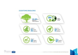 CADERNO DE ATIVIDADES DE EDUCAÇÃO PARA SUSTENTABILIDADE 54
ECOSISTEMAS BRASILEIROS
50a 560mil
Espécies de
Plantas superiores
do que
existe no
mundo
20%
Anfíbios
517 espécies
294 endêmicas
Répteis
468 espécies
172 endêmicas
Mamíferos
524 espécies
131 endêmicas
Aves
1622 espécies
191 endêmicas
 