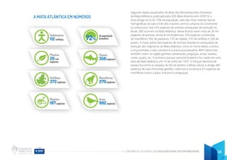 CADERNO DE ATIVIDADES DE EDUCAÇÃO PARA SUSTENTABILIDADE 58
Segundo dados atualizados do Atlas dos Remanescentes Florestais
da Mata Atlântica, publicado pela SOS Mata Atlantica em 23/5/19, a
área abriga cerca de 72% da população, sete das nove maiores bacias
hidrográficas do país e três dos maiores centros urbanos do continente
sul americano. Das 633 espécies de animais ameaçadas de extinção no
Brasil, 383 ocorrem na Mata Atlântica. Neste bioma vivem mais de 20 mil
espécies de plantas, sendo 8 mil endêmicas, 270 espécies conhecidas
de mamíferos, 992 de pássaros, 197 de répteis, 372 de anfíbios e 350 de
peixes. A maior parte das espécies de animais brasileiros ameaçados de
extinção são originários da Mata Atlântica, como os micos-leões, a lontra,
a onça-pintada, o tatu-canastra e a arara-azul-pequena. Além desta lista,
também vivem na região gambás, tamanduás, preguiças, antas, veados,
cotias, quatis, etc. O primeiro parque nacional brasileiro foi criado em uma
área de Mata Atlântica, em 14 de junho de 1937. O Parque Nacional de
Itatiaia fica entre os estados do Rio de Janeiro e Minas Gerais e abriga 360
espécies de aves (incluindo gaviões, codornas e tucanos) e 67 espécies de
mamíferos (como a paca, macacos e preguiças).
A MATA ATLÂNTICA EM NÚMEROS
Habitantes
112 milhões
da população
brasileira
Plantas
20 mil
espécies
Anfíbios
372espécies
Répteis
197espécies
Aves
992espécies
72%
Peixes
350espécies
Mamíferos
270espécies
 