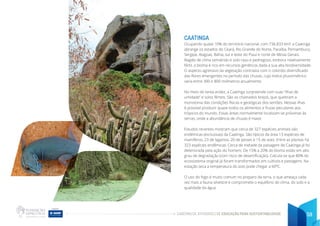 CADERNO DE ATIVIDADES DE EDUCAÇÃO PARA SUSTENTABILIDADE 59
CAATINGA
Ocupando quase 10% do território nacional, com 736.833 km², a Caatinga
abrange os estados do Ceará, Rio Grande do Norte, Paraíba, Pernambuco,
Sergipe, Alagoas, Bahia, sul e leste do Piauí e norte de Minas Gerais.
Região de clima semiárido e solo raso e pedregoso, embora relativamente
fértil, o bioma é rico em recursos genéticos dada a sua alta biodiversidade.
O aspecto agressivo da vegetação contrasta com o colorido diversificado
das flores emergentes no período das chuvas, cujo índice pluviométrico
varia entre 300 e 800 milímetros anualmente.
No meio de tanta aridez, a Caatinga surpreende com suas “ilhas de
umidade” e solos férteis. São os chamados brejos, que quebram a
monotonia das condições físicas e geológicas dos sertões. Nessas ilhas
é possível produzir quase todos os alimentos e frutas peculiares aos
trópicos do mundo. Essas áreas normalmente localizam-se próximas às
serras, onde a abundância de chuvas é maior.
Estudos recentes mostram que cerca de 327 espécies animais são
endêmicas (exclusivas) da Caatinga. São típicos da área 13 espécies de
mamíferos, 23 de lagartos, 20 de peixes e 15 de aves. Entre as plantas há
323 espécies endêmicas. Cerca de metade da paisagem de Caatinga já foi
deteriorada pela ação do homem. De 15% a 20% do bioma estão em alto
grau de degradação (com risco de desertificação). Calcula-se que 80% do
ecossistema original já foram transformados em cultivos e pastagens. Na
estação seca a temperatura do solo pode chegar a 60ºC.
O uso do fogo é muito comum no preparo da terra, o que ameaça cada
vez mais a fauna silvestre e compromete o equilíbrio do clima, do solo e a
qualidade da água.
 