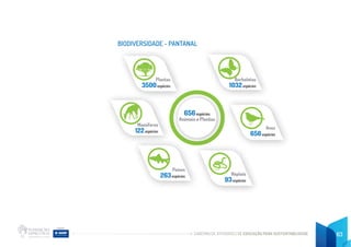 CADERNO DE ATIVIDADES DE EDUCAÇÃO PARA SUSTENTABILIDADE 63
BIODIVERSIDADE - PANTANAL
Aves
656espécies
Mamíferos
122espécies
Plantas
3500espécies
Borboletas
1032espécies
Répteis
93espécies
Peixes
263espécies
656espécies
Animais e Plantas
 