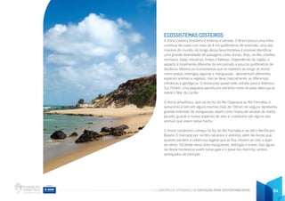 CADERNO DE ATIVIDADES DE EDUCAÇÃO PARA SUSTENTABILIDADE 64
ECOSSISTEMAS COSTEIROS
A Zona Costeira brasileira é extensa e variada. O Brasil possui uma linha
contínua de costa com mais de 8 mil quilômetros de extensão, uma das
maiores do mundo. Ao longo dessa faixa litorânea é possível identificar
uma grande diversidade de paisagens como dunas, ilhas, recifes, costões
rochosos, baías, estuários, brejos e falésias. Dependendo da região, o
aspecto é totalmente diferente do encontrado a poucos quilômetros de
distância. Mesmo os ecossistemas que se repetem ao longo do litoral -
como praias, restingas, lagunas e manguezais - apresentam diferentes
espécies animais e vegetais. Isso se deve, basicamente, as diferenças
climáticas e geológicas. O litoral está quase todo voltado para o Atlântico
Sul. Porém, uma pequena parcela (no extremo norte do país) debruça-se
sobre o Mar do Caribe.
O litoral amazônico, que vai da foz do Rio Oiapoque ao Rio Parnaíba, é
lamacento e tem em alguns trechos mais de 100 km de largura. Apresenta
grande extensão de manguezais, assim como matas de várzeas de marés.
Jacarés, guarás e muitas espécies de aves e crustáceos são alguns dos
animais que vivem nesse trecho.
O litoral nordestino começa na foz do Rio Parnaíba e vai até o Recôncavo
Baiano. É marcado por recifes calcáreos e arenitos, além de dunas que,
quando perdem a cobertura vegetal que as fixa, movem-se com a ação
do vento. Há ainda nessa área manguezais, restingas e matas. Nas águas
do litoral nordestino vivem tartarugas e o peixe-boi marinho, ambos
ameaçados de extinção.
 