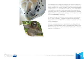 CADERNO DE ATIVIDADES DE EDUCAÇÃO PARA SUSTENTABILIDADE 65
O litoral sudeste segue do Recôncavo Baiano até São Paulo: a área mais
densamente povoada e industrializada do país. Suas áreas características
são as falésias, recifes, arenitos e praias de areias monazíticas (mineral de
cor marrom escura). É dominado pela Serra do Mar e tem a costa muito
recortada, com várias baias e pequenas enseadas. O ecossistema mais
importante dessa área é o das matas de restingas. Nessa parte do litoral
é possível encontrar espécies como a preguiça-de-coleira e o mico-sauá,
dois animais ameaçados de extinção.
O litoral sul começa no Paraná e termina no Arroio Chuí, no Rio Grande
do Sul. Cheio de banhados e manguezais, o ecossistema da região é
riquíssimo em aves, mas há também outras espécies: ratão-do-banhado,
lontras, capivaras etc.
Há muito ainda para se conhecer sobre a dinâmica ecológica do litoral
brasileiro. Complexos sistemas costeiros distribuem-se ao longo da costa,
fornecendo áreas para a criação, crescimento e reprodução de inúmeras
espécies de flora e fauna.
 